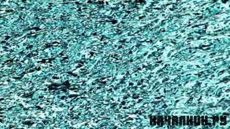���� ���� / Water Divas / 2006 / �� / DVDRip