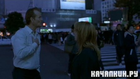   / Lost in Translation (2003 / DVDRip)