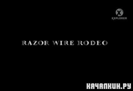     / Razor wire rodeo (2006) IPTVRip  