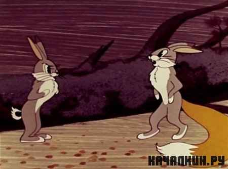������ (1966 / DVDRip)