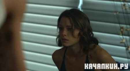 �������� / Skyline (2010 / DVDRip)