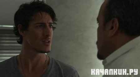 �������� / Skyline (2010 / DVDRip)