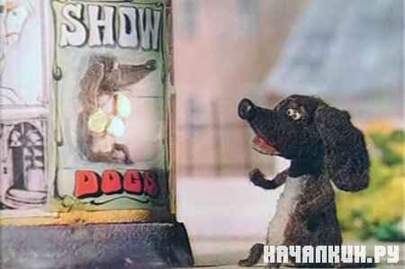 ���� (1992 / DVDRip)