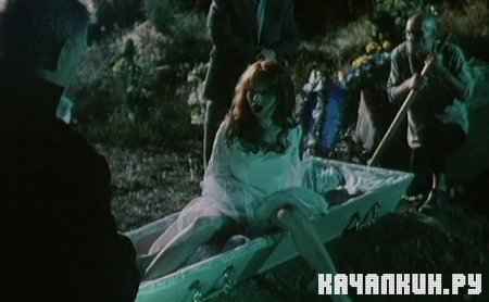 ������� ������������� (2004 / DVDRip)