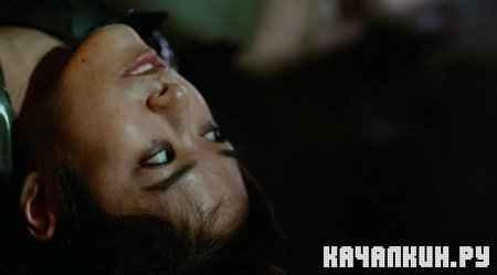 ������ � ������ / Raging Phoenix (2010 / HDRip)