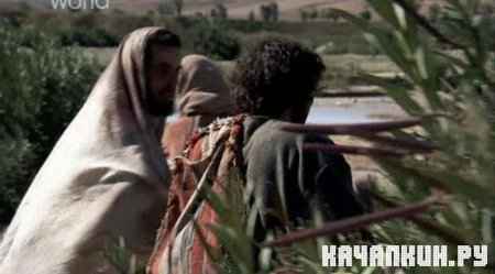 Discovery: ��� ��� �����? / Who Was Jesus? (2009 / SATRip)