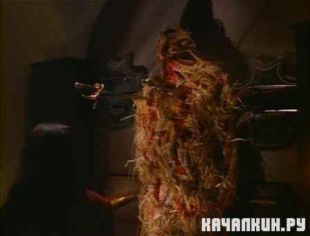 ���� ������ / Night of the Scarecrow (1995 / DVDRip)