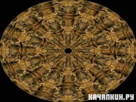 ������� �������� ����� / The Mandala of Golden Buddha (2006 / DVDRip)