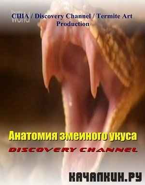 Discovery.    / Anatomy of a Snake Bite ( 2004 )  IPTVRip  