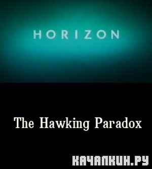  /The Hawking Paradox (2005) SATRip  