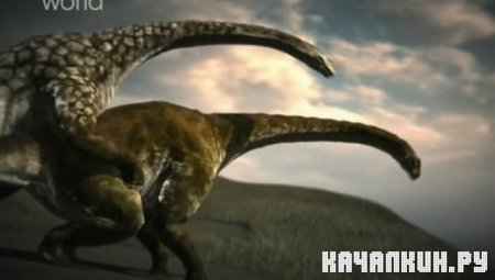 Discovery. ���� � ������������ / Discovery. Tyrannosaurus sex (2010 / TVRip)