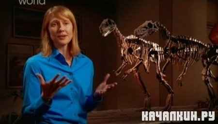 Discovery. ���� � ������������ / Discovery. Tyrannosaurus sex (2010 / TVRip)