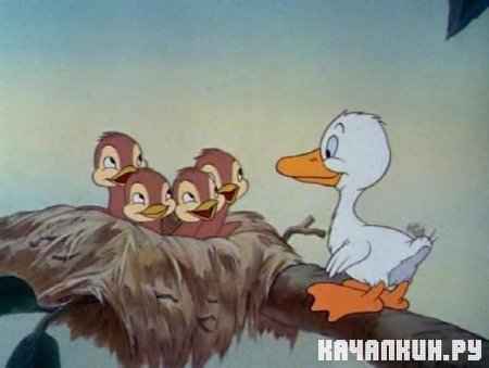   / Ugly Duckling (1939 / DVDRip)
