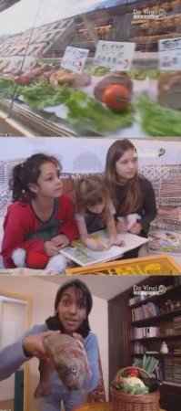  ���������������� ����� / C'est pas sorcier. A balanced diet (1994) SATRip  