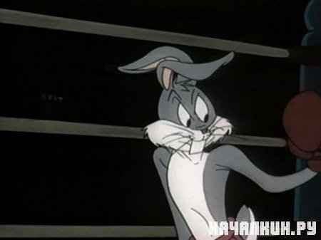   / Rabbit Punch (1948 / DVDRip)