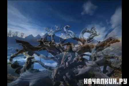 ���� ����� / Earth Flight (2004 / DVDRip)