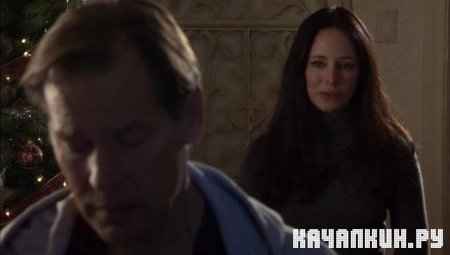 �������������� ������� / The Christmas Hope (2009 / DVDRip)