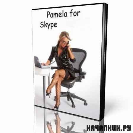 Pamela for Skype 4.7.0.71 Professional Edition