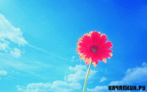 Beautiful HD Wallpapers ������ 38
