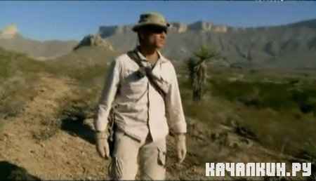 �������, �������, ������� (�������) / Man, Woman, Wild (Mexico) (2011 / IPTVRip)
