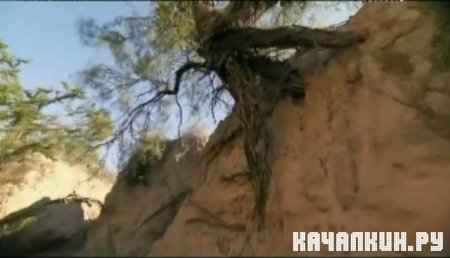 �������, �������, ������� (�������) / Man, Woman, Wild (Mexico) (2011 / IPTVRip)