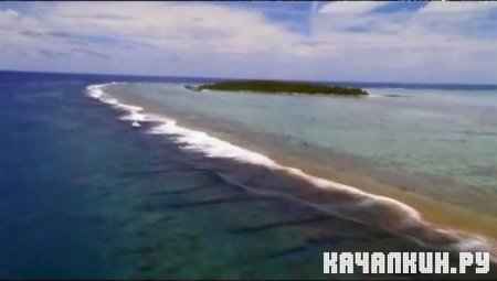 �������, �������, ������� (��������) / Man, Woman, Wild (Aitutaki)(2011 / IPTVRip) 