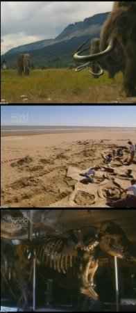 Discovery. ��� ����� ��������-�������� /What �illed the Mega Beasts ( 2002 ) IPTVRip  
