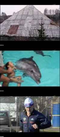 ������ ��������� (2011) DVB  