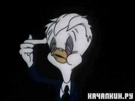   / Plane Daffy (1944 / DVDRip)