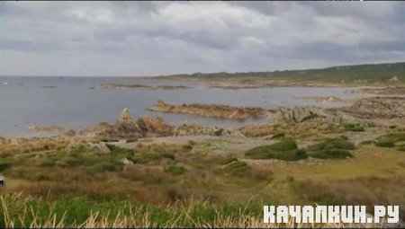 �������, �������, ������� (��������) / Man, Woman, Wild (Tasmania) (2011 / IPTVRip)