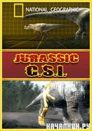 National Geographic.    / Jurassic C.S.I. (2010 / TVRip)