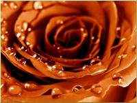 Collection of Wallpaper - Super Pack 73