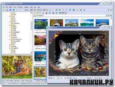 FastStone ImageViewer v 4.4 Final Corporate