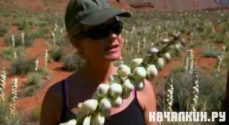 �������, �������, ������� (���) / Man, Woman, Wild (Utah) (2011 / IPTVRip)