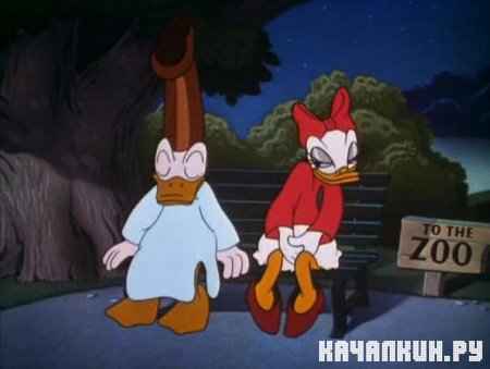    / - / Sleepy Time Donald (1947 / DVDRip)