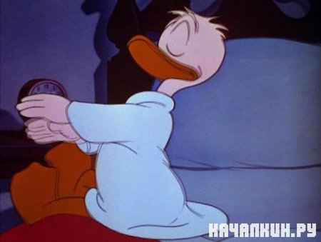    / - / Sleepy Time Donald (1947 / DVDRip)