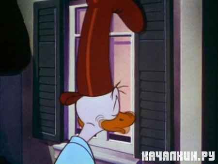    / - / Sleepy Time Donald (1947 / DVDRip)