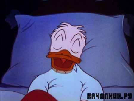    / - / Sleepy Time Donald (1947 / DVDRip)