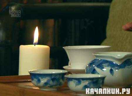 ��������� ��� � ������ ��������� (2009 / DVDRip)