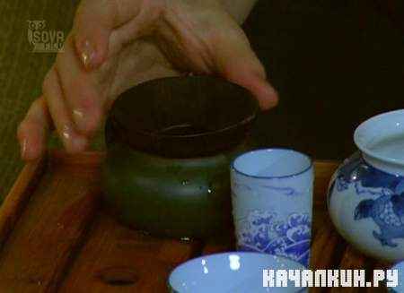 ��������� ��� � ������ ��������� (2009 / DVDRip)