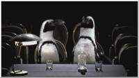 �-����� - ����� (2009-2011) DVDrip