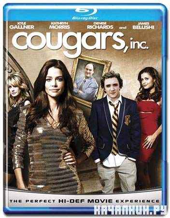   / Cougars, Inc (2011/HDRip/1.38)