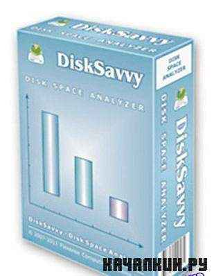 Disk Savvy 2.8.16 + Portable