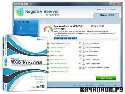 Registry Reviver v2.1.648.9703 Portable