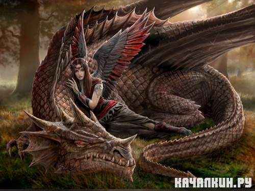 Pictures Dragons | �������� �������� - 470 JPG