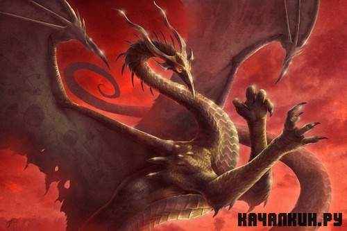 Pictures Dragons | �������� �������� - 470 JPG