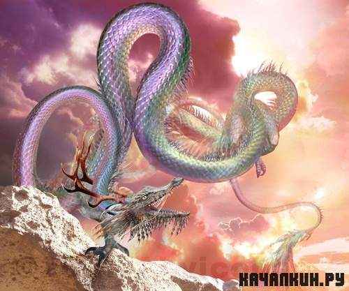 Pictures Dragons | �������� �������� - 470 JPG