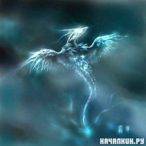Pictures Dragons | �������� �������� - 470 JPG