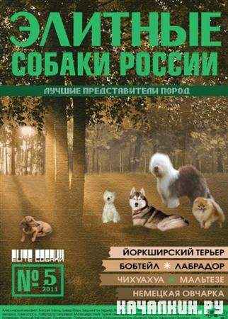 ������� ������ ������ �5 (2011 / PDF)