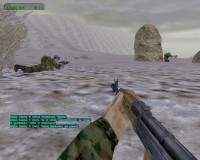 Operation Flashpoint: Cold War Crisis (2004/PC/Eng/Portable)